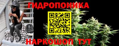 прущие грибы Конаково