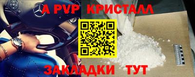 прущие грибы Конаково