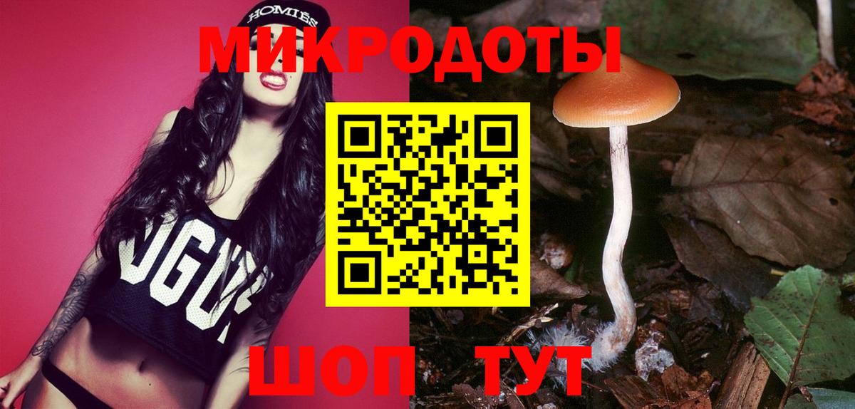 Верхняя Пышма  Галлюциногенные грибы Psilocybine cubensis  Вход с VPN 
