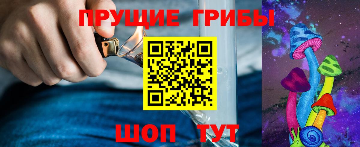 Галлюциногенные грибы Psilocybe Верхняя Пышма